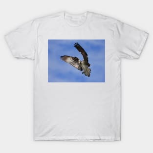 Osprey Wingspan T-Shirt